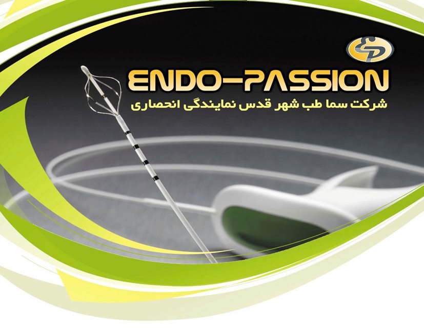 طراحی و چاپ پوستر Endo-Passion